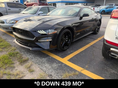 2023 Ford Mustang EcoBoost