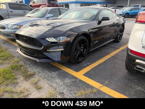 2023 Ford Mustang EcoBoost