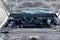 2020 Ford Super Duty F-250 SRW XL