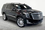 2017 Cadillac Escalade Platinum