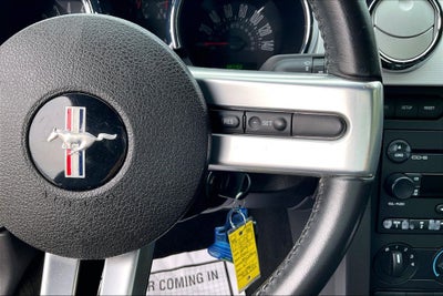 2007 Ford Mustang GT Deluxe