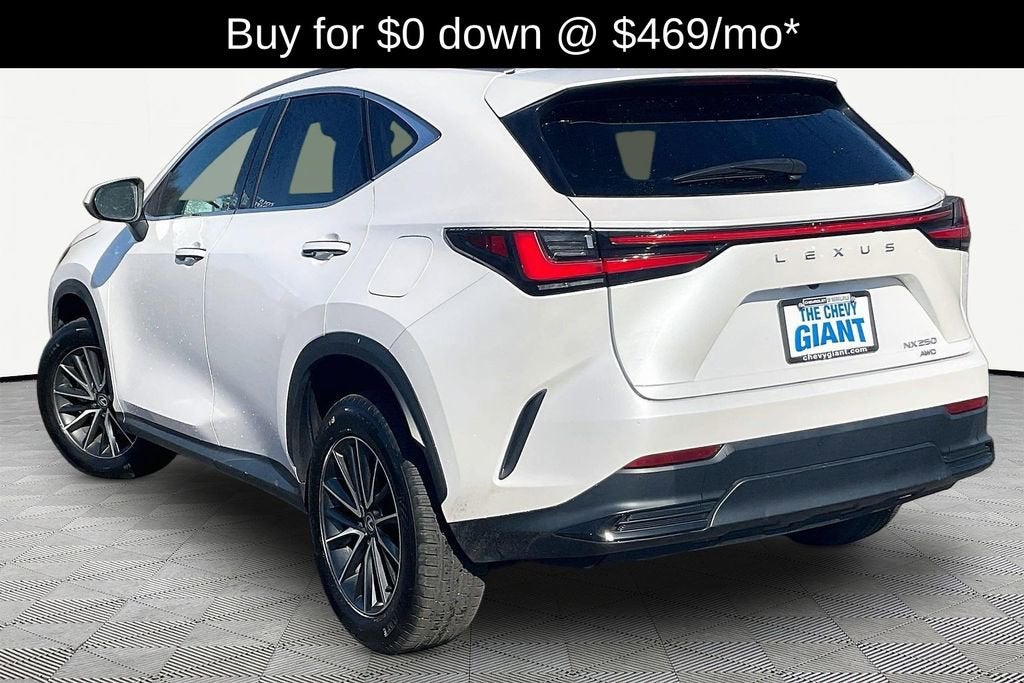 2024 Lexus NX NX 250