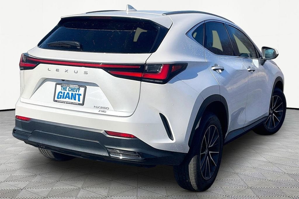 2024 Lexus NX NX 250
